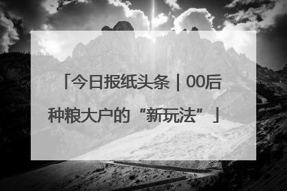 今日报纸头条｜00后种粮大户的“新玩法”