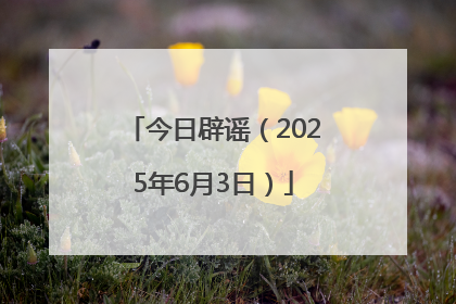 今日辟谣（2025年6月3日）