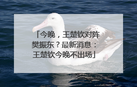 今晚，王楚钦对阵樊振东？最新消息：王楚钦今晚不出场