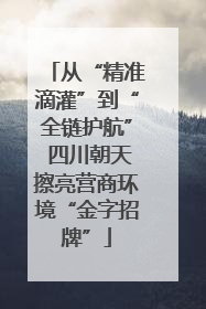 从“精准滴灌”到“全链护航” 四川朝天擦亮营商环境“金字招牌”
