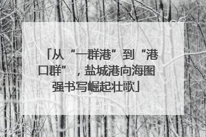 从“一群港”到“港口群”，盐城港向海图强书写崛起壮歌