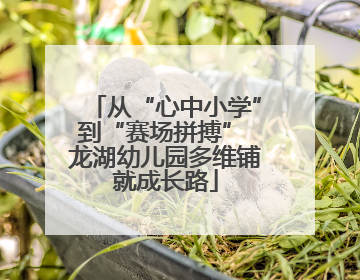 从“心中小学”到“赛场拼搏” 龙湖幼儿园多维铺就成长路