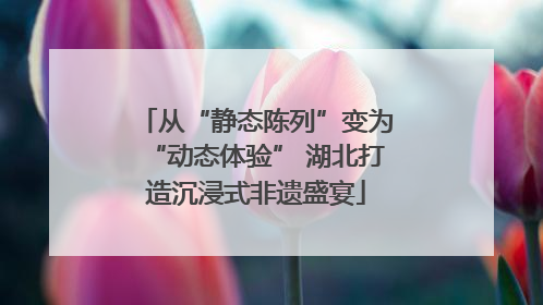 从“静态陈列”变为“动态体验” 湖北打造沉浸式非遗盛宴