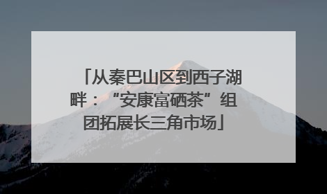 从秦巴山区到西子湖畔：“安康富硒茶”组团拓展长三角市场