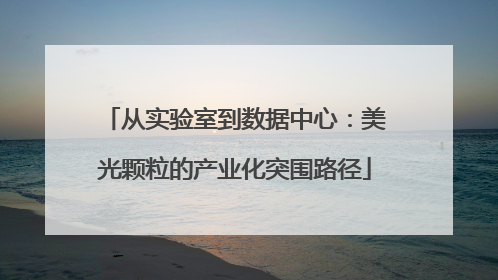 从实验室到数据中心：美光颗粒的产业化突围路径