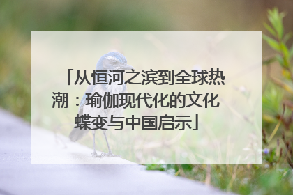 从恒河之滨到全球热潮：瑜伽现代化的文化蝶变与中国启示