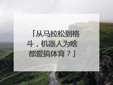 从马拉松到格斗，机器人为啥都爱搞体育？