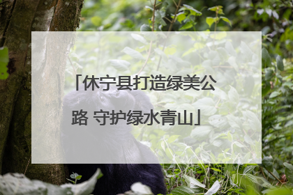 休宁县打造绿美公路 守护绿水青山