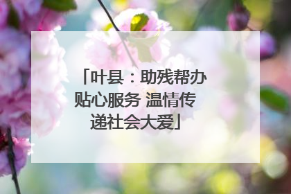 叶县：助残帮办贴心服务 温情传递社会大爱