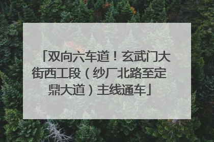 双向六车道！玄武门大街西工段（纱厂北路至定鼎大道）主线通车