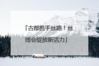 古都携手丝路！丝博会绽放新活力