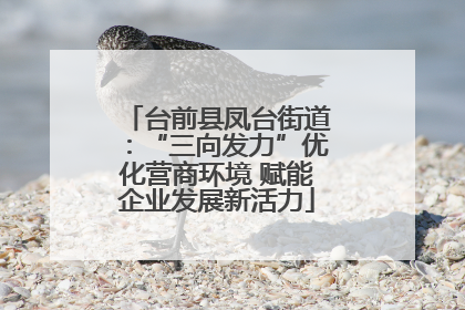 台前县凤台街道：“三向发力”优化营商环境 赋能企业发展新活力