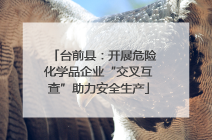 台前县：开展危险化学品企业“交叉互查”助力安全生产