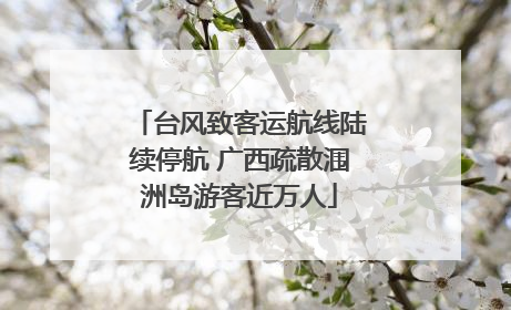台风致客运航线陆续停航 广西疏散涠洲岛游客近万人