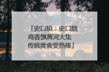 史口镇：史口烧鸡香飘黄河大集 传统美食受热捧