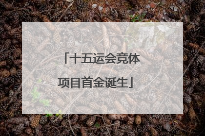 十五运会竞体项目首金诞生
