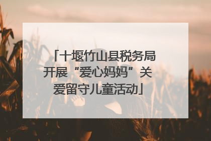 十堰竹山县税务局开展“爱心妈妈”关爱留守儿童活动