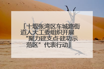 十堰张湾区车城路街道人大工委组织开展 “聚力建支点·建功示范区”代表行动