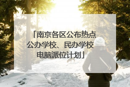 南京各区公布热点公办学校、民办学校电脑派位计划