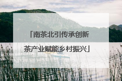 南茶北引传承创新 茶产业赋能乡村振兴