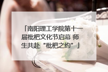 南阳理工学院第十一届枇杷文化节启幕 师生共赴“枇杷之约”