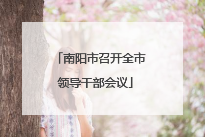 南阳市召开全市领导干部会议