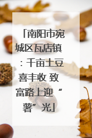 南阳市宛城区瓦店镇：千亩土豆喜丰收 致富路上迎“薯”光