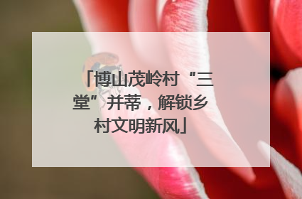 博山茂岭村“三堂”并蒂，解锁乡村文明新风