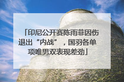 印尼公开赛陈雨菲因伤退出“内战”，国羽各单项唯男双表现差劲