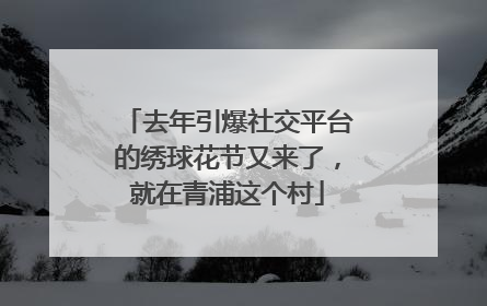 去年引爆社交平台的绣球花节又来了，就在青浦这个村