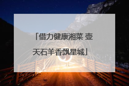 借力健康湘菜 壶天石羊香飘星城