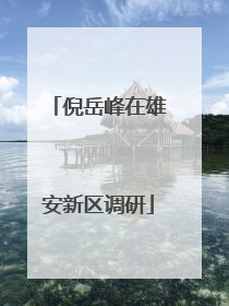 倪岳峰在雄安新区调研