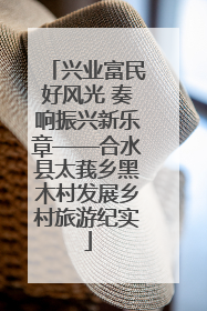 兴业富民好风光 奏响振兴新乐章——合水县太莪乡黑木村发展乡村旅游纪实