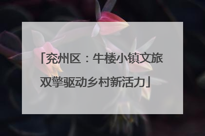 兖州区：牛楼小镇文旅双擎驱动乡村新活力