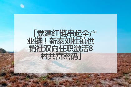 党建红链串起全产业链！新泰刘杜镇供销社双向任职激活8村共富密码
