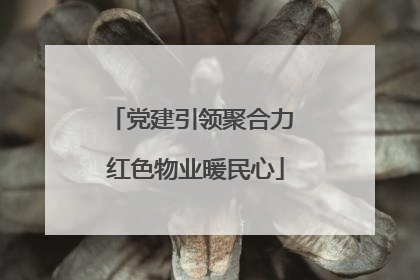 党建引领聚合力 红色物业暖民心