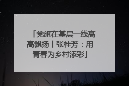 党旗在基层一线高高飘扬丨张桂芳：用青春为乡村添彩