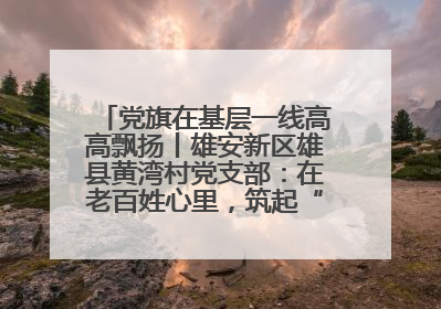 党旗在基层一线高高飘扬丨雄安新区雄县黄湾村党支部：在老百姓心里，筑起“一座山”