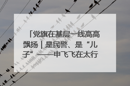 党旗在基层一线高高飘扬｜是民警、是“儿子”——申飞飞在太行山中的一线坚守