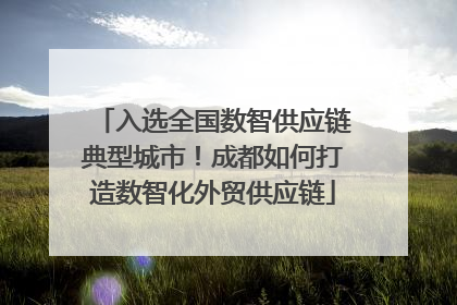 入选全国数智供应链典型城市！成都如何打造数智化外贸供应链