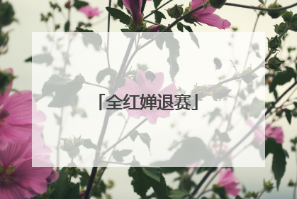 全红婵退赛