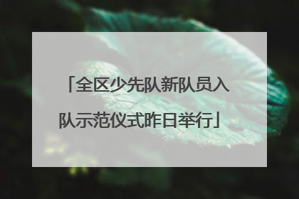 全区少先队新队员入队示范仪式昨日举行
