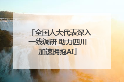 全国人大代表深入一线调研 助力四川加速拥抱AI