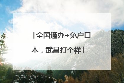 全国通办+免户口本，武昌打个样