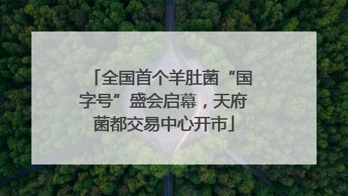 全国首个羊肚菌“国字号”盛会启幕，天府菌都交易中心开市