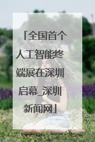 全国首个人工智能终端展在深圳启幕_深圳新闻网