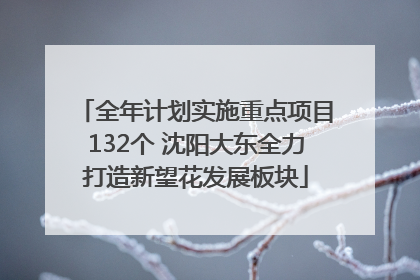 全年计划实施重点项目132个 沈阳大东全力打造新望花发展板块