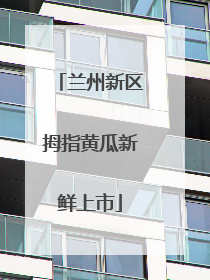 兰州新区拇指黄瓜新鲜上市