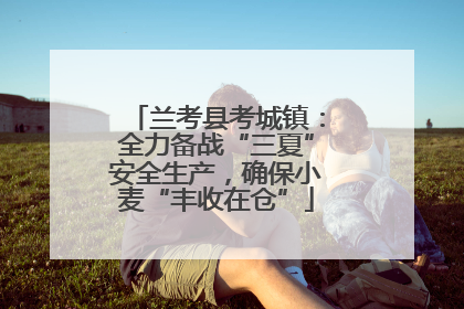 兰考县考城镇：全力备战“三夏”安全生产，确保小麦“丰收在仓”