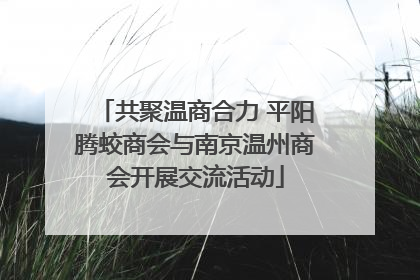 共聚温商合力 平阳腾蛟商会与南京温州商会开展交流活动